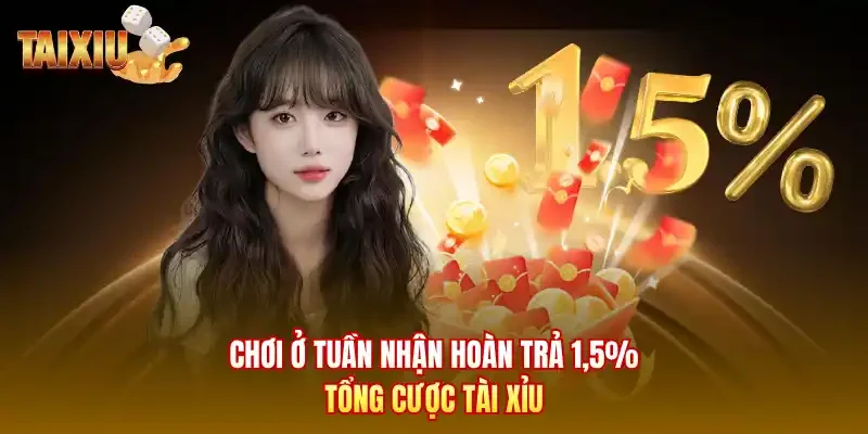 Chơi ở tuần nhận hoàn trả 1,5% tổng cược tài xỉu
