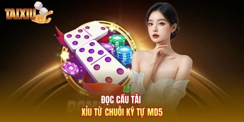 Đọc cầu tài xỉu từ chuỗi ký tự MD5