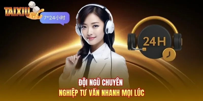 Đội ngũ chuyên nghiệp tư vấn nhanh mọi lúc