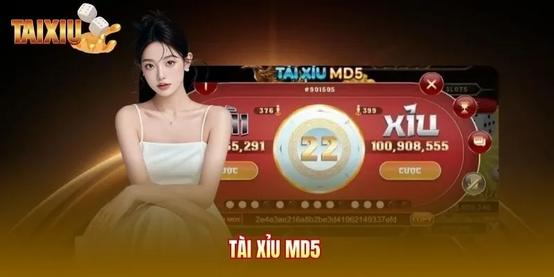 Tài xỉu MD5