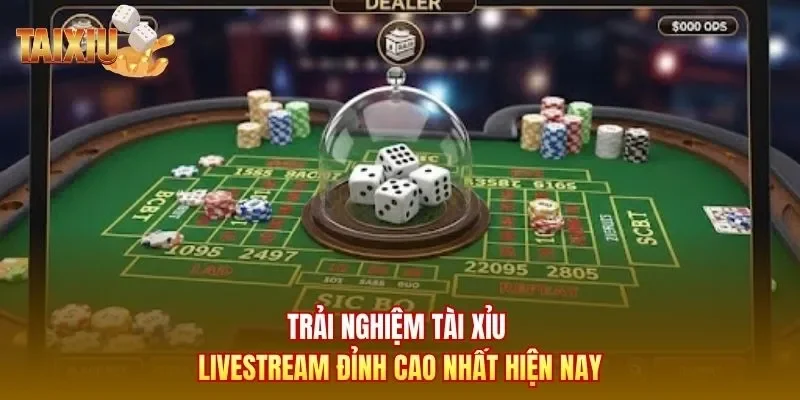 Trải nghiệm tài xỉu livestream đỉnh cao nhất hiện nay